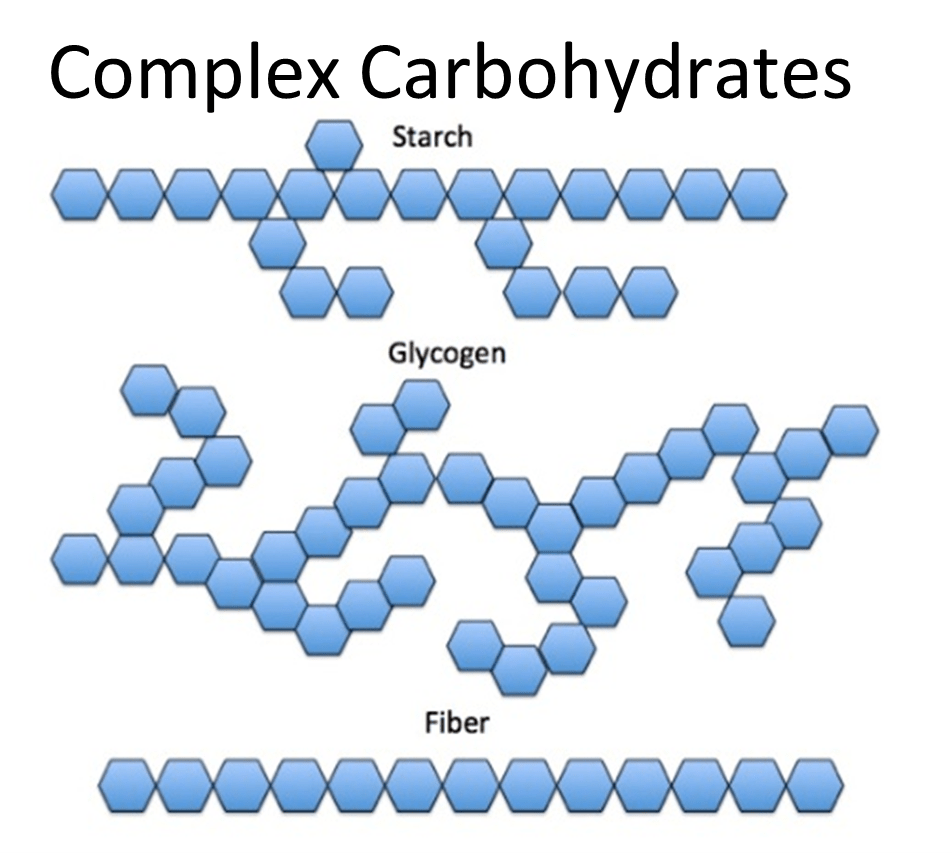 macronutrients-and-food-groups-part-2-of-7-carbohydrates-clubworx