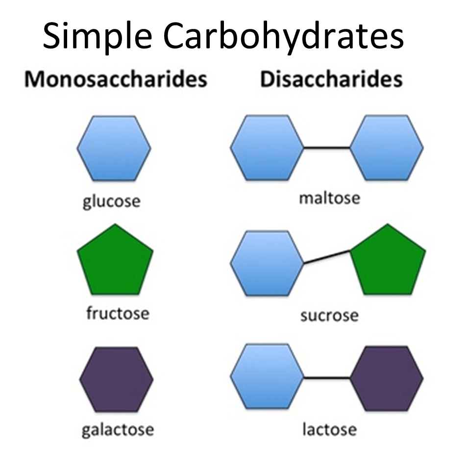 basic carbohydrate structure